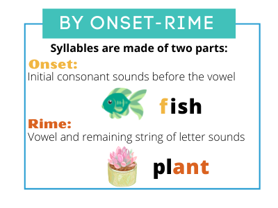 Illustration of how words can br broken down at the onset-rime level. The letter 'f' in the word fish is highlighted as the onset; the letters 'a-n-t' in the word plant are highlighted as the rime.