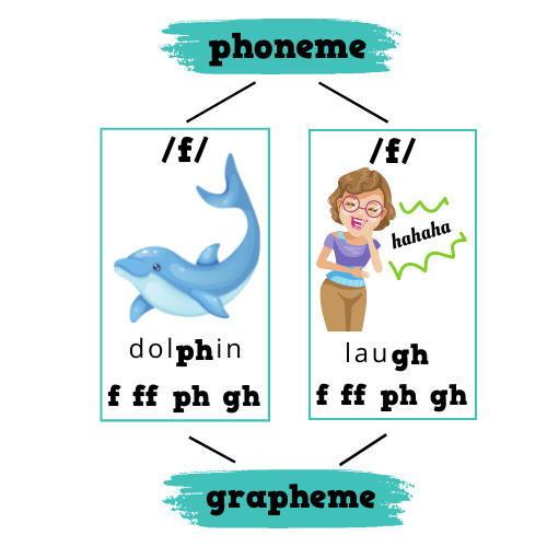 Diagram showing the difference of how the phoneme sound for 'f' can be represented by different graphemes