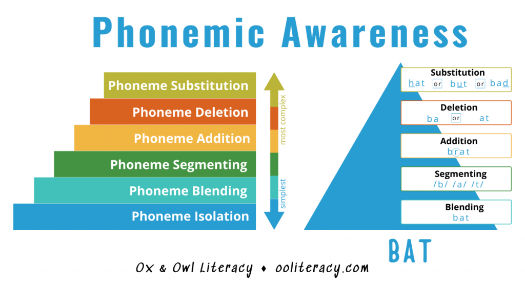 Contains diagrams showing the hierarchy and skill domains involved in phonemic awareness 